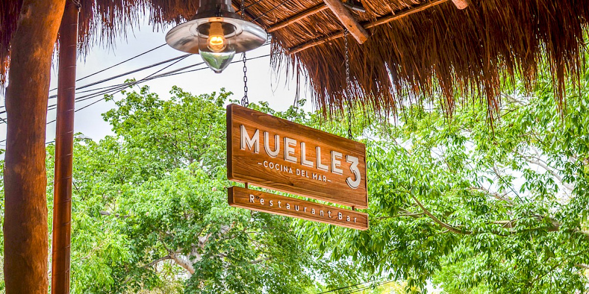 A Glimpse of Playa del Carmen`s Mexican Fusion Cuisine