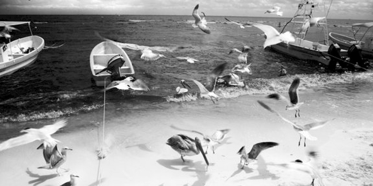 BEYOND THE VISIBLE: INFRARED PHOTOGRAPHY BY GARY DILLARD