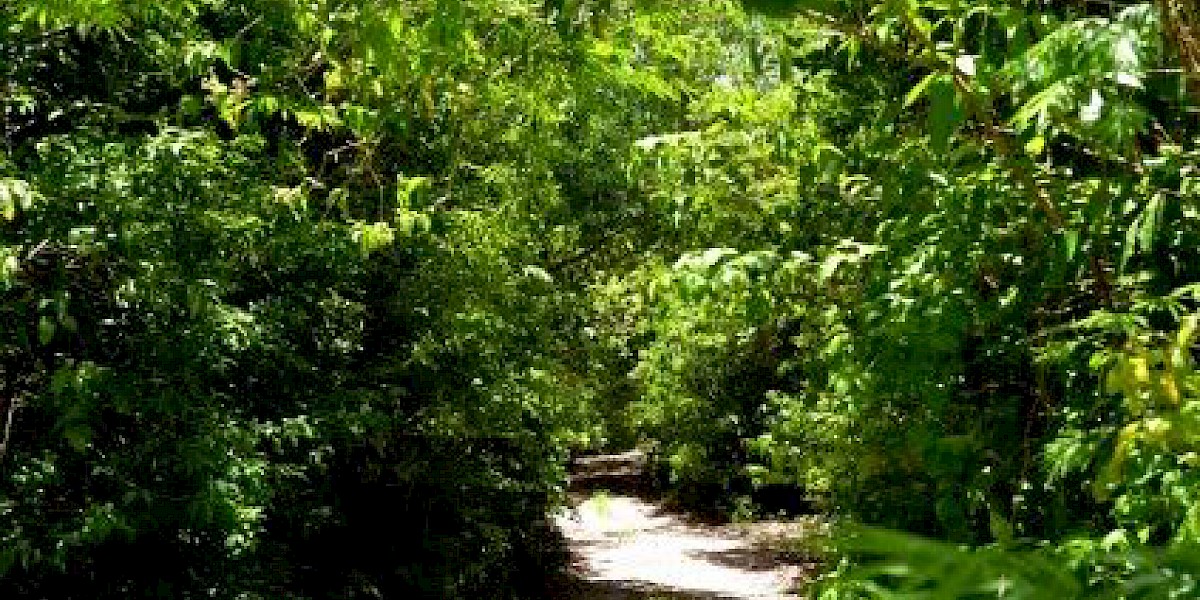 WAY OFF THE USUAL BEATEN PATH IN PUERTO MORELOS