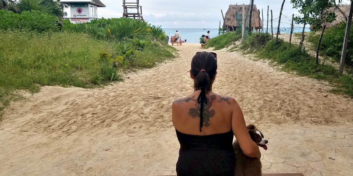 Bring Your Pet to Playa del Carmen