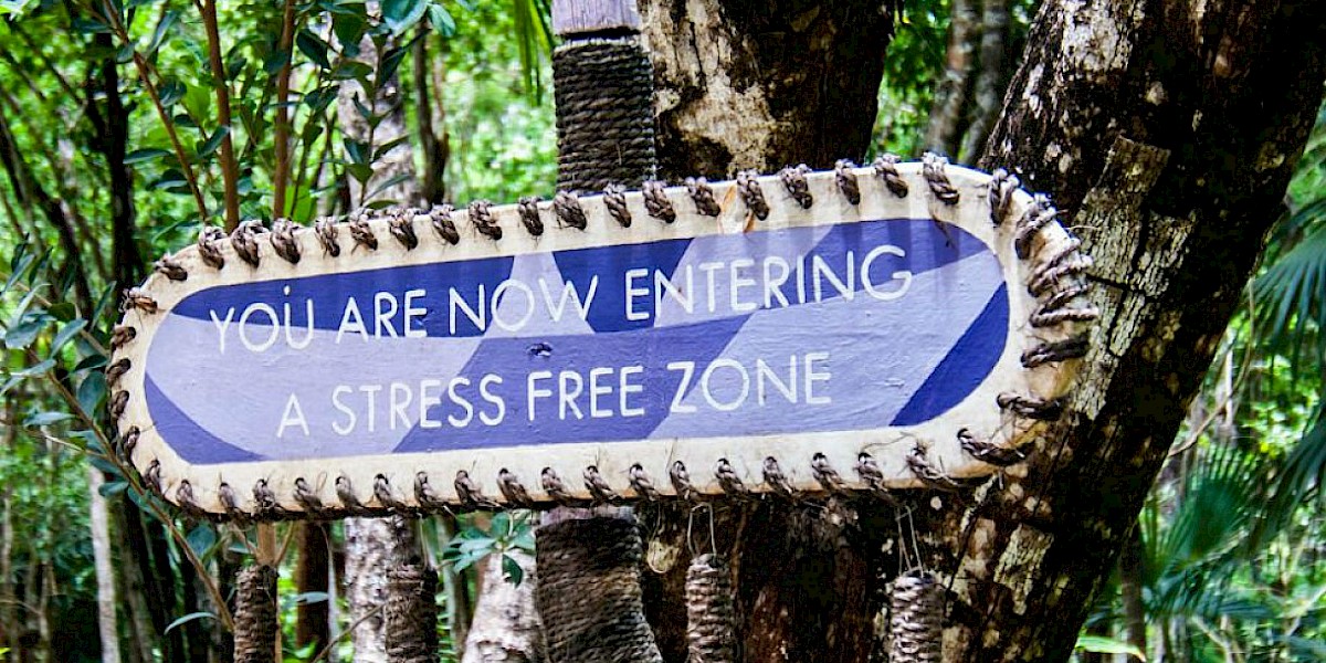 A Celebration of Food, Yoga & Music in Tulum