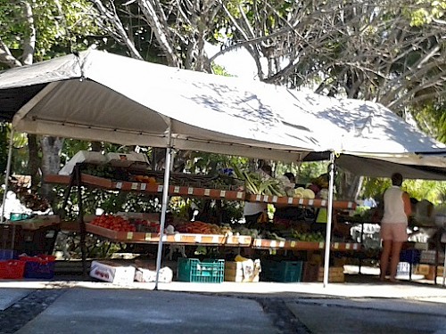 Puerto Aventuras Farmer's Market