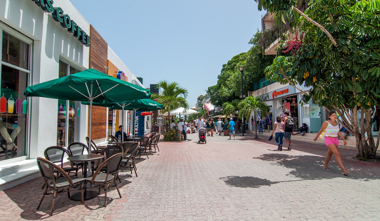 Playa Del Carmen Real Estate Listing | Downtown Lot
