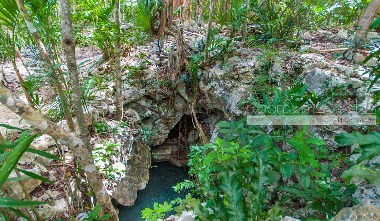 Playa Del Carmen Real Estate Listing | Cenote lot-Pueblo SacBe