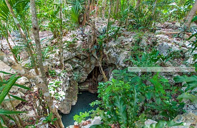 Playa Del Carmen Real Estate Listing | Cenote lot-Pueblo SacBe