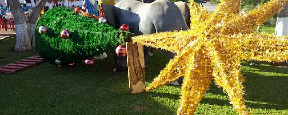 DE RUTA POR PLAYA DEL CARMEN