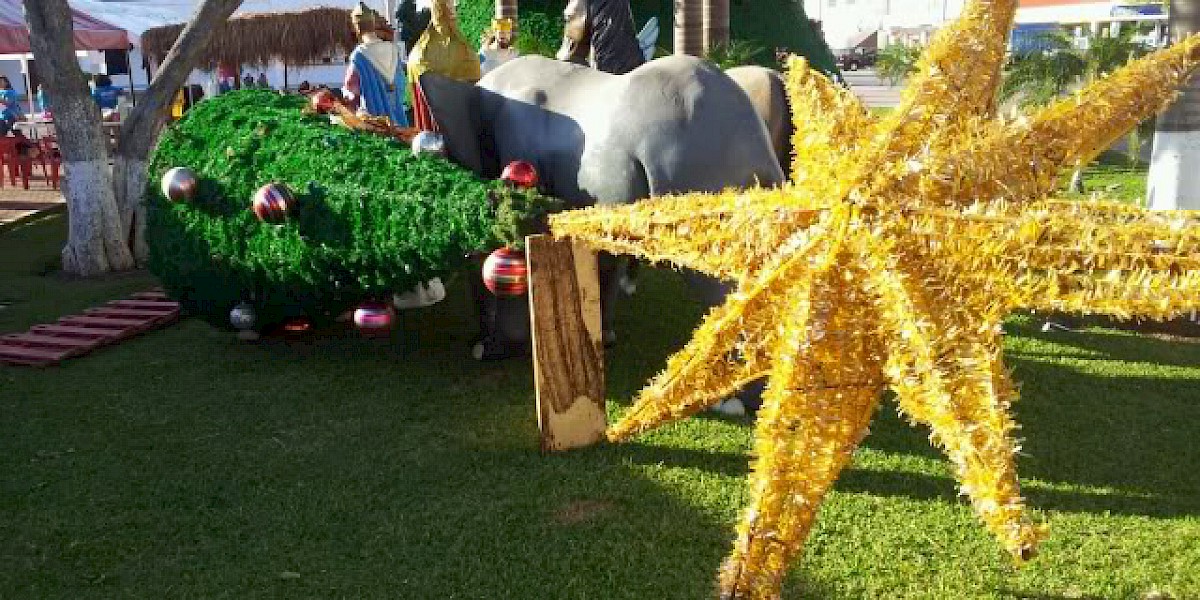 OUT AND ABOUT IN PLAYA DEL CARMEN