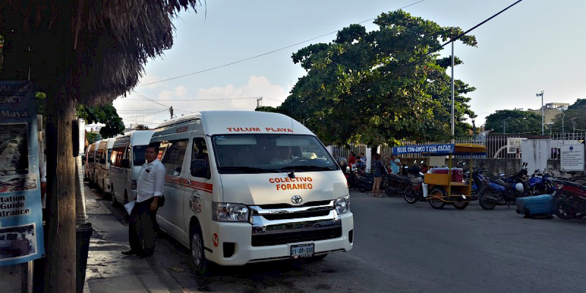 COLECTIVO VANS EXPLORE THE RIVIERA MAYA LIKE A LOCAL