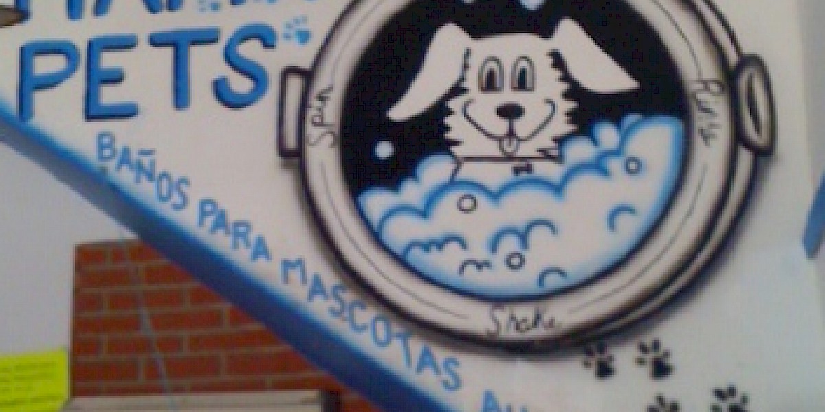 ¡ARREGLAMOS EL MAL OLIDO DE LOS PERROS DEL VERANO EN HAPPY PETS!