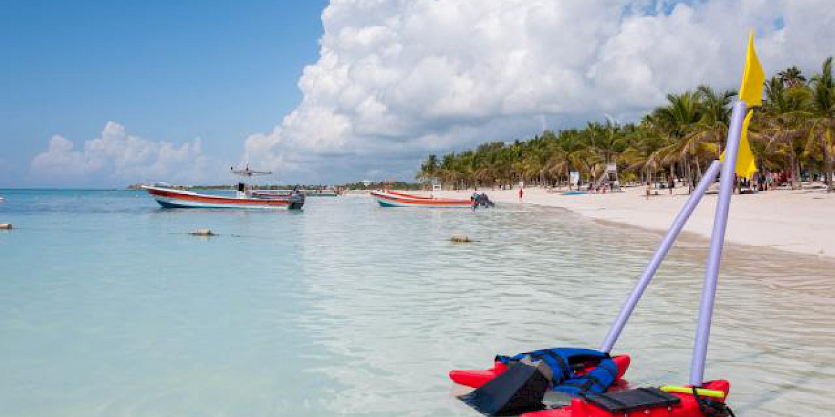 EZ SNORKEL: EL ARRECIFE DE LA RIVIERA MAYA AL ALCANCE DE TODOS