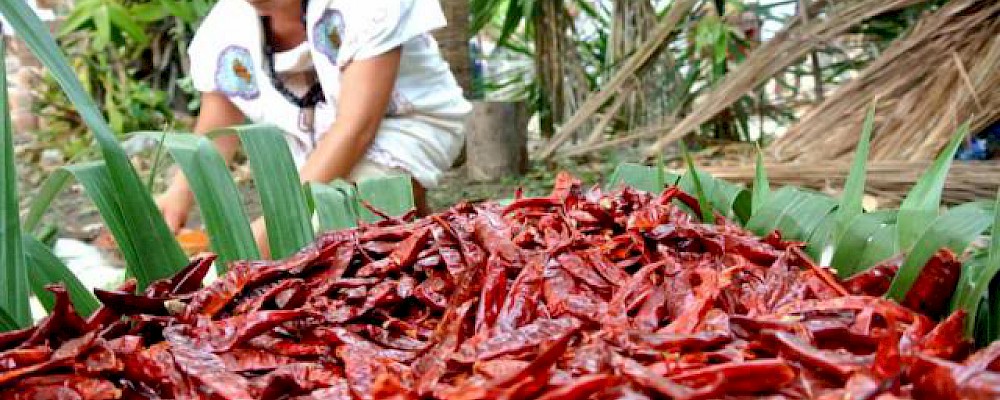 XCARET Y XEL-HÁ RECREAN LA TRAVESÍA SAGRADA MAYA