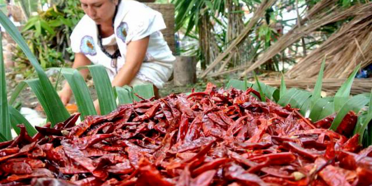 XCARET Y XEL-HÁ RECREAN LA TRAVESÍA SAGRADA MAYA
