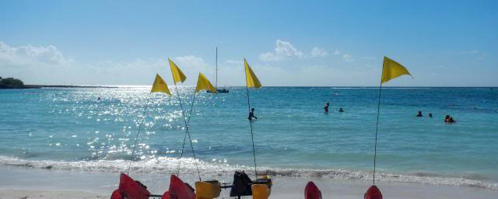 CONQUERING THE REEF WITH EZ SNORKEL