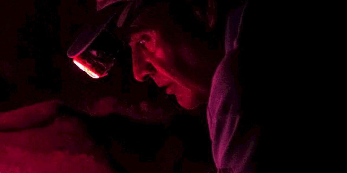 EL SUSURRADOR DE TORTUGAS DE XPU HA