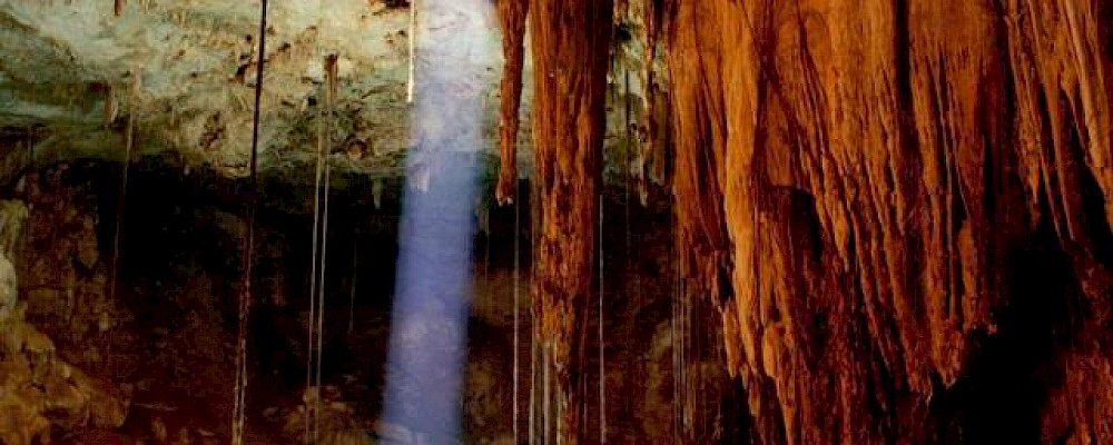THE 4 KINDS OF CENOTES YOU