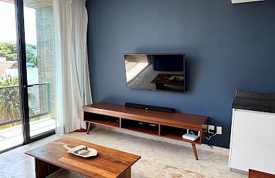 Playa Del Carmen Real Estate Listing | Anah 5ta E