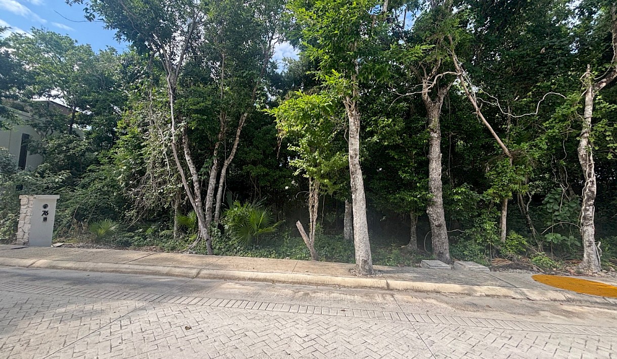Tulum Country Club Real Estate Listing | Lote 76 Lagos