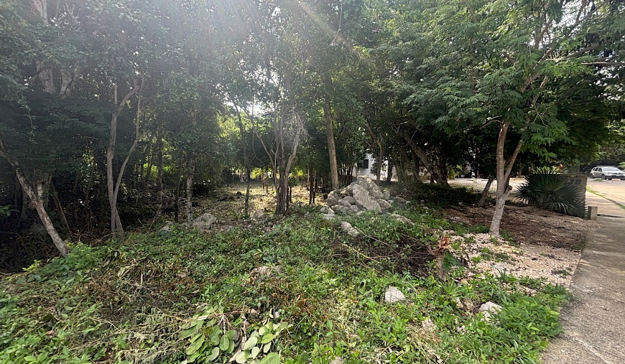 Tulum Country Club Real Estate Listing | Estrellas Lote 38