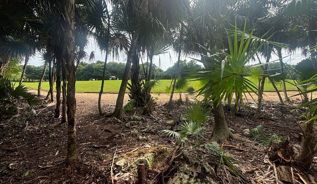 Tulum Country Club Real Estate Listing | Estrellas Lote 38