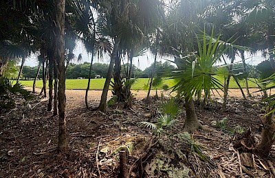 Tulum Country Club Real Estate Listing | Estrellas Lote 38