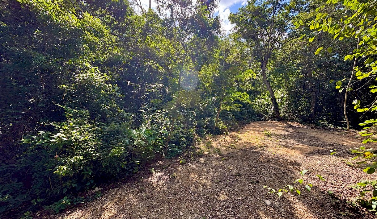 Chemuyil Real Estate Listing | Lote 20 Chemuyil