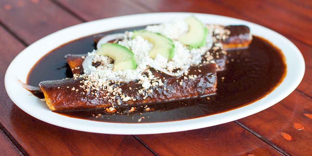 A Mole Quest Through The Streets of Playa del Carmen