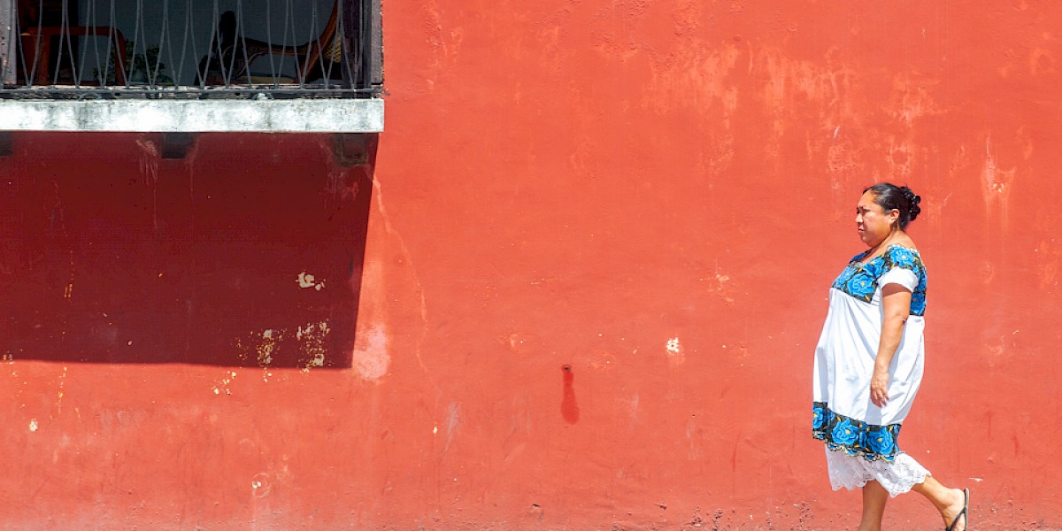 To the Real Civilization: A Professional's Journey to the Basics