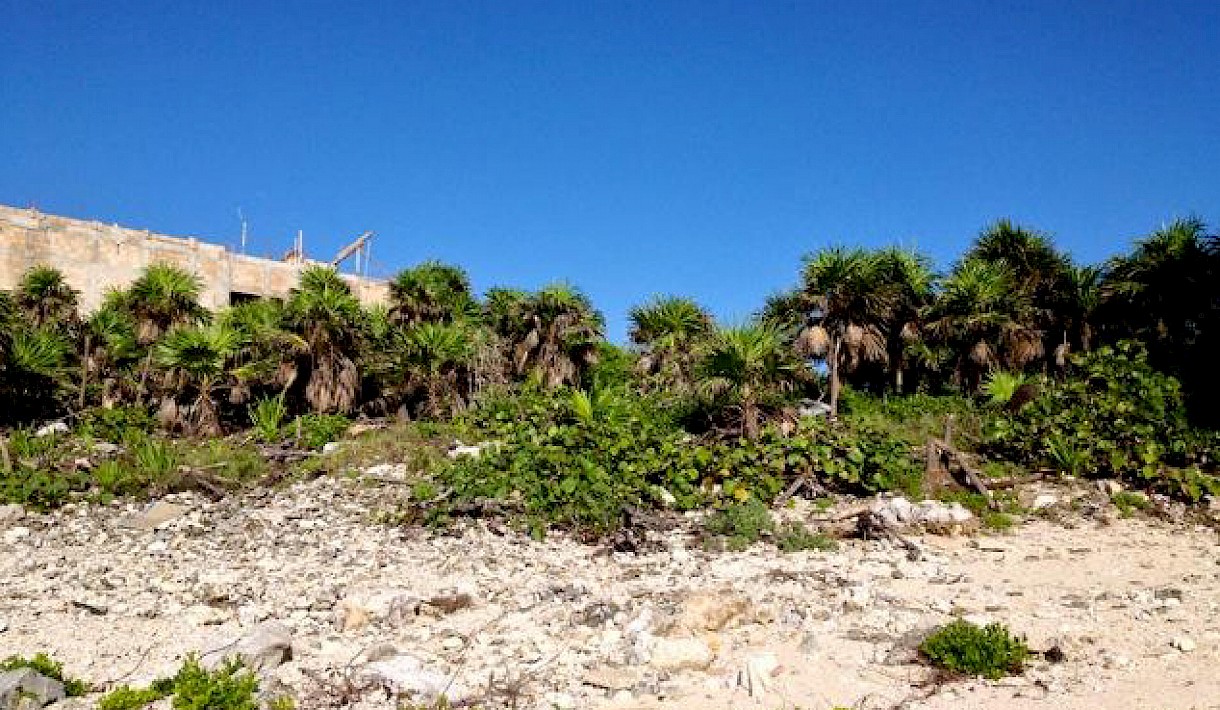Akumal Real Estate Listing | Lot 4 Punta Sur