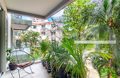 Playa Del Carmen Real Estate Listing | Central Park PDC