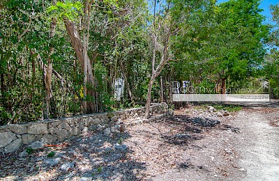 Tulum Real Estate Listing | Lote 13 El Santuario
