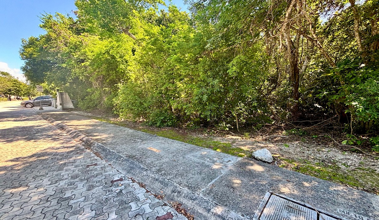 Akumal Real Estate Listing | Lote 35 Grand Sirenis