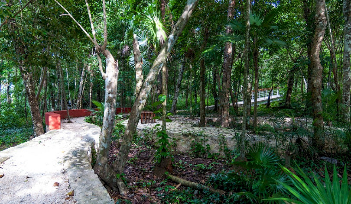 Tulum Real Estate Listing | 3 Lots Side by Side in Los Arboles Tulum