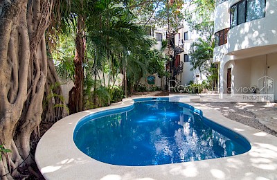 Playa Del Carmen Real Estate Listing | Mixteca 9
