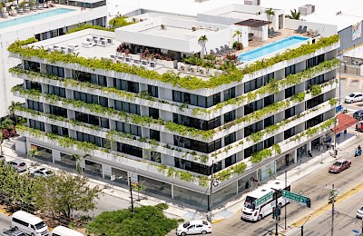 Playa Del Carmen Real Estate Listing | Sensai Downtown 2 Bedrooms