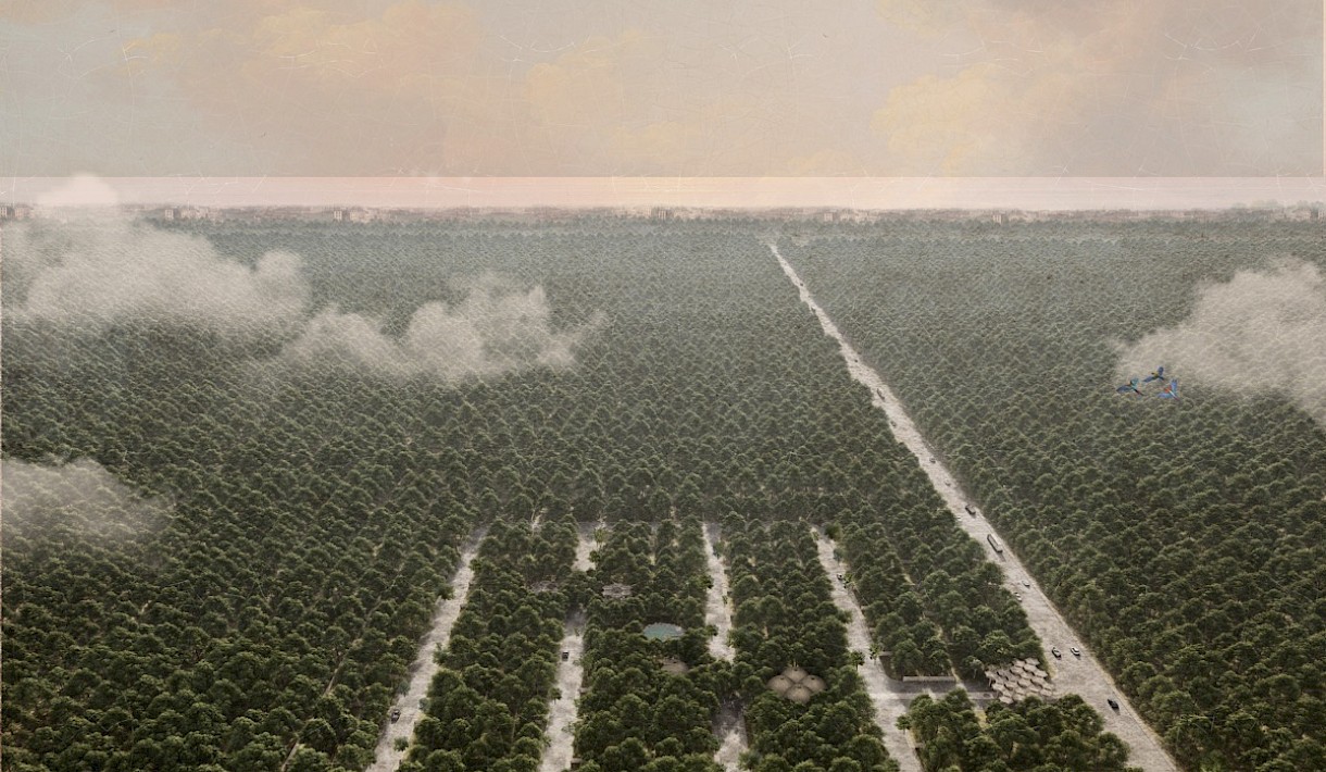 Tulum Real Estate Listing | Beecheii