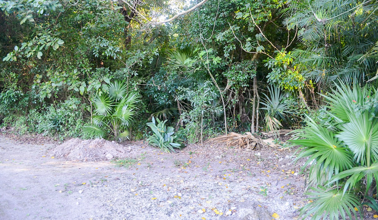 Tulum Real Estate Listing | Tulum Centro Single Lot