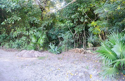 Tulum Real Estate Listing | Tulum Centro Single Lot