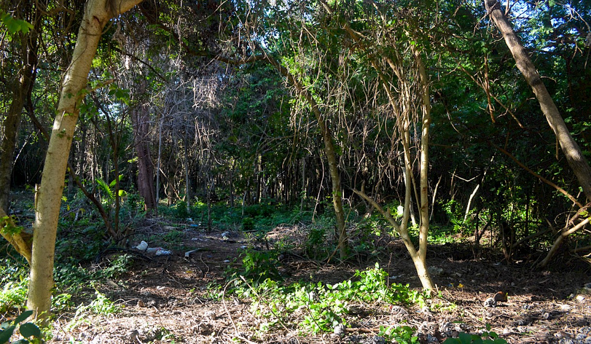 Tulum Real Estate Listing | Tulum Centro Double Lot