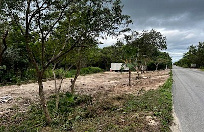 Puerto Morelos Real Estate Listing | Ruta Selva Urbana