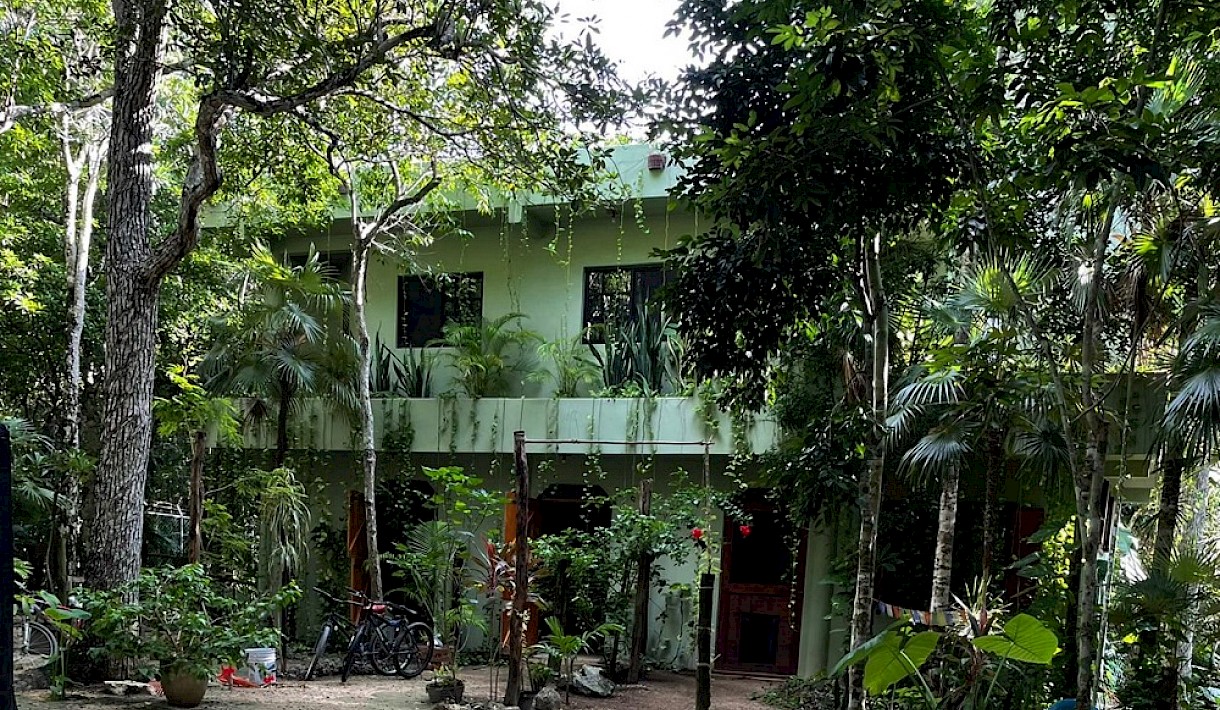 Chemuyil Real Estate Listing | Jungle Eco Home