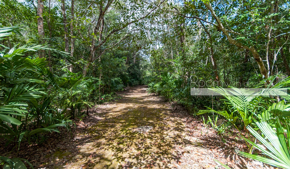 Playa Del Carmen Real Estate Listing | Cenote lot-Pueblo SacBe
