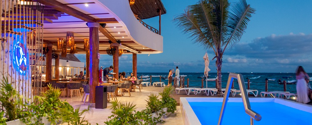 Bienestar y felicidad culinaria con Somos Reef Group