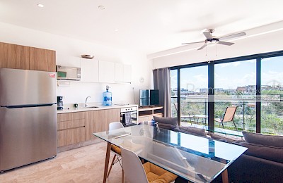 Playa Del Carmen Real Estate Listing | Ipana 1 bed