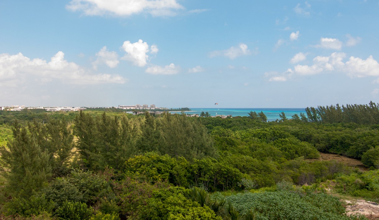 Playa Del Carmen Real Estate Listing | The Boat PH