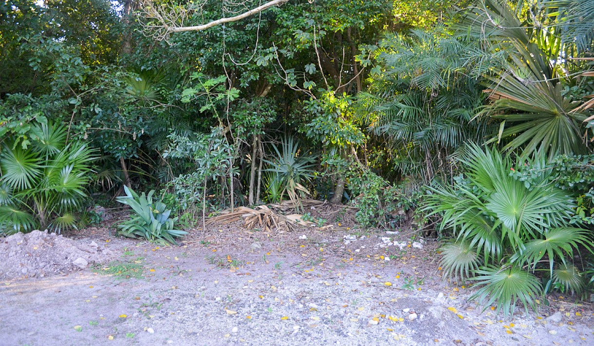 Tulum Real Estate Listing | Lot 1 Region 8