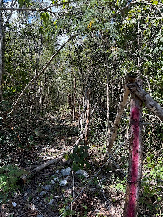 Tulum Real Estate Listing | Suenos Tulumenos