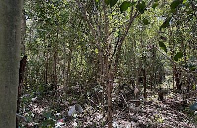 Tulum Real Estate Listing | Suenos Tulumenos