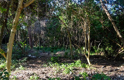 Playa Del Carmen Real Estate Listing | Lote Cruz de Servicios PDC 006