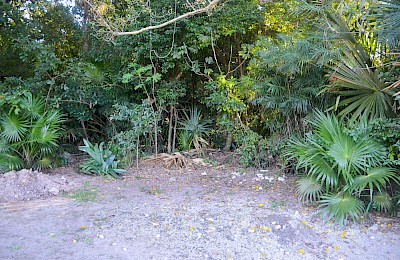 Playa Del Carmen Real Estate Listing | Lote Cruz de Servicios PDC 007