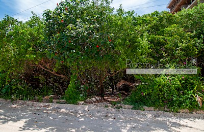 Tankah Real Estate Listing | Paraiso Tankah Lot